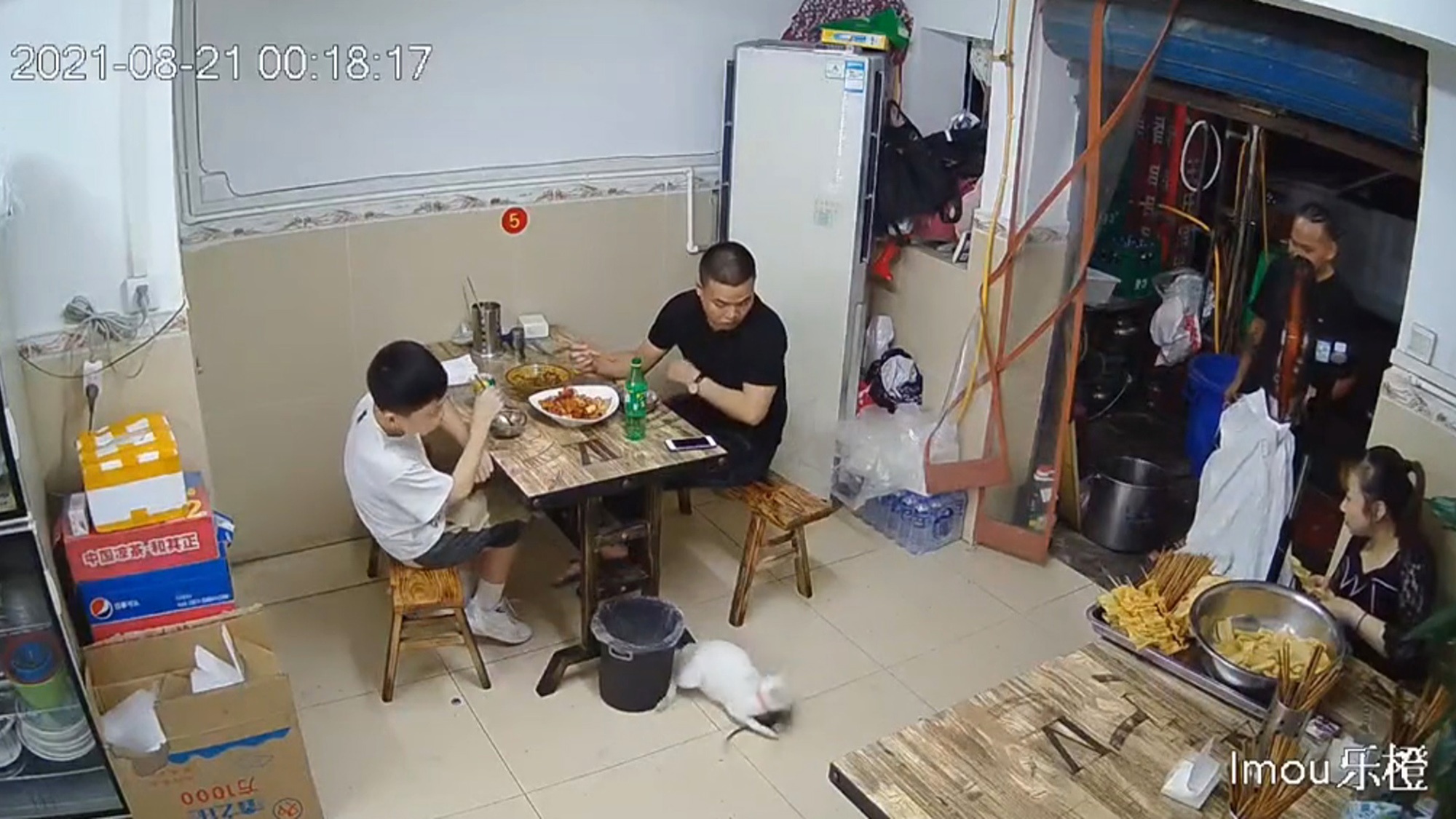 Read more about the article Moment Restaurant Cat Catches Rat In Front Of Stunned Diners