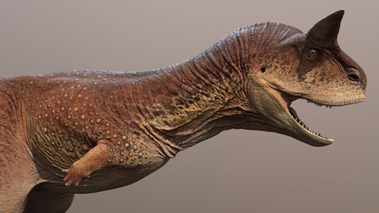 Read more about the article Scientists Recreate What Twin Horned Flesh Eating Dinosaur With Scaly Skin Would Have Looked Like Using Fossil Remains