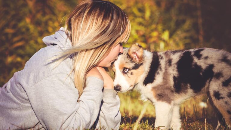Read more about the article Photographer Conquers Social Media With Enchanting Dog Snaps
