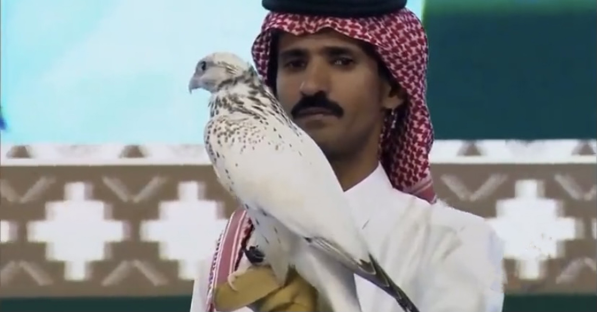 Read more about the article New World Record As Falcon Bird Of Prey Sells For Nearly Half A Million Dollars At Saudi Auction