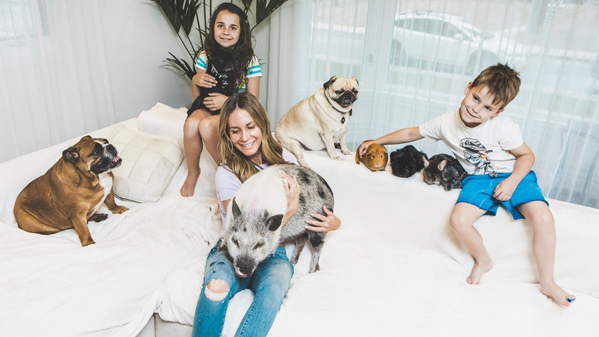 Read more about the article Meet The Fast And Furious Fur Ball Family With Animal Magic