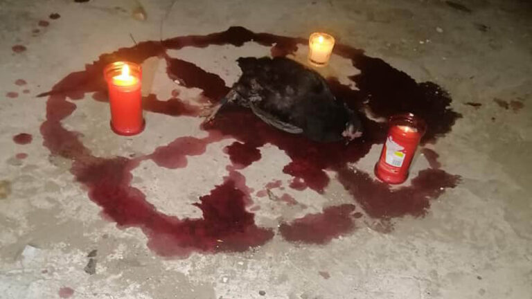 Read more about the article Bloodied Bodies Of Black Animals Used In Sick Rituals Found In Mexico