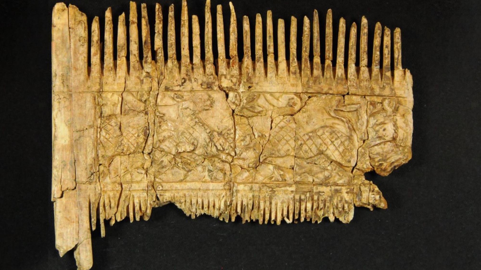 Read more about the article Ornate Ivory Comb And African Bowl Among Objects Found In 6th Century Graves For First Time In North Of Alps