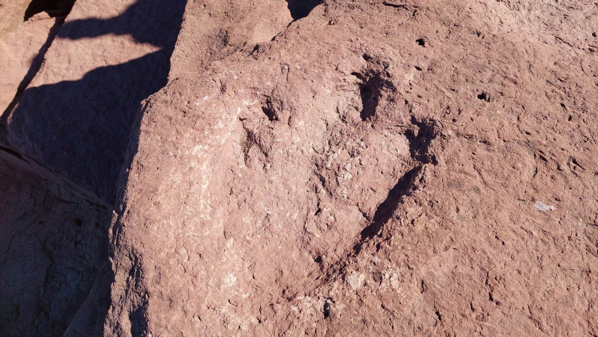 Read more about the article Argie Security Forces Discover 13 Dinosaur Footprints On Routine Patrol In Patagonia