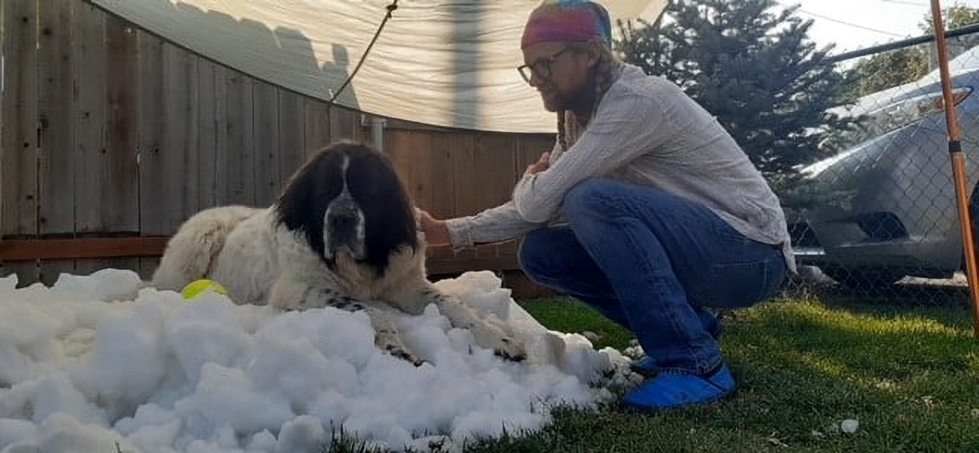 Read more about the article Utah Couple Scour Area For Fake Snow So Dying Dog Could Roll Around In It One Last Time