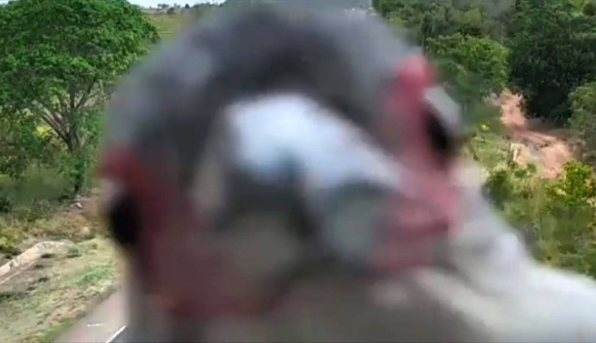 Read more about the article Cute Bird Takes Interest In Roadside CCTV Camera In Brazil
