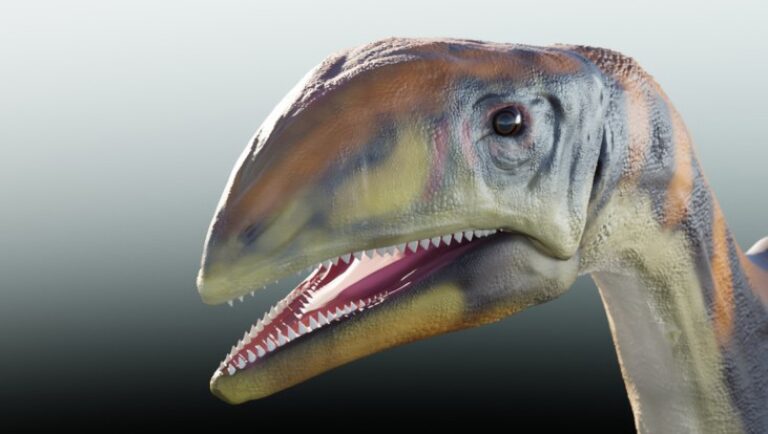 Read more about the article New Dinosaur Species That Lived In Greenland Over 200 Million Years Ago Named Cold Bone