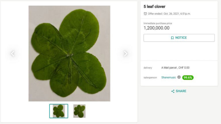 Read more about the article Five Leaf Clover Bought From Auction Site For Nearly GBP 1 Million Until Bidder Changes Mind