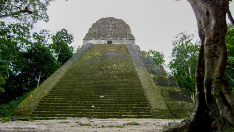 Read more about the article Mystery After German Explorer Missing For 2 Days Found Dead Near Mayan Temple Seen In Star Wars Movie