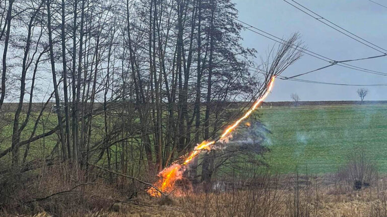 Read more about the article Viral Falling Tree Touching 110,000 Volt Power Line Looks Like Lightning Bolt As Electricity Courses Through It