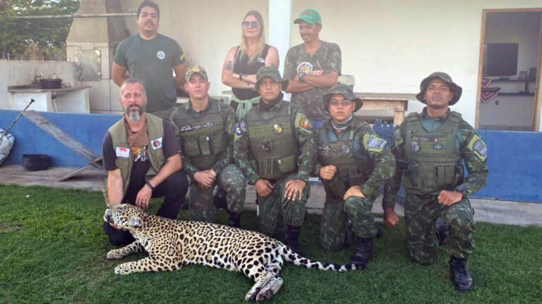 Read more about the article Jaguar Orphaned By Wildfires As Cub And Domesticated Is Rescued By Cops After Becoming Threat