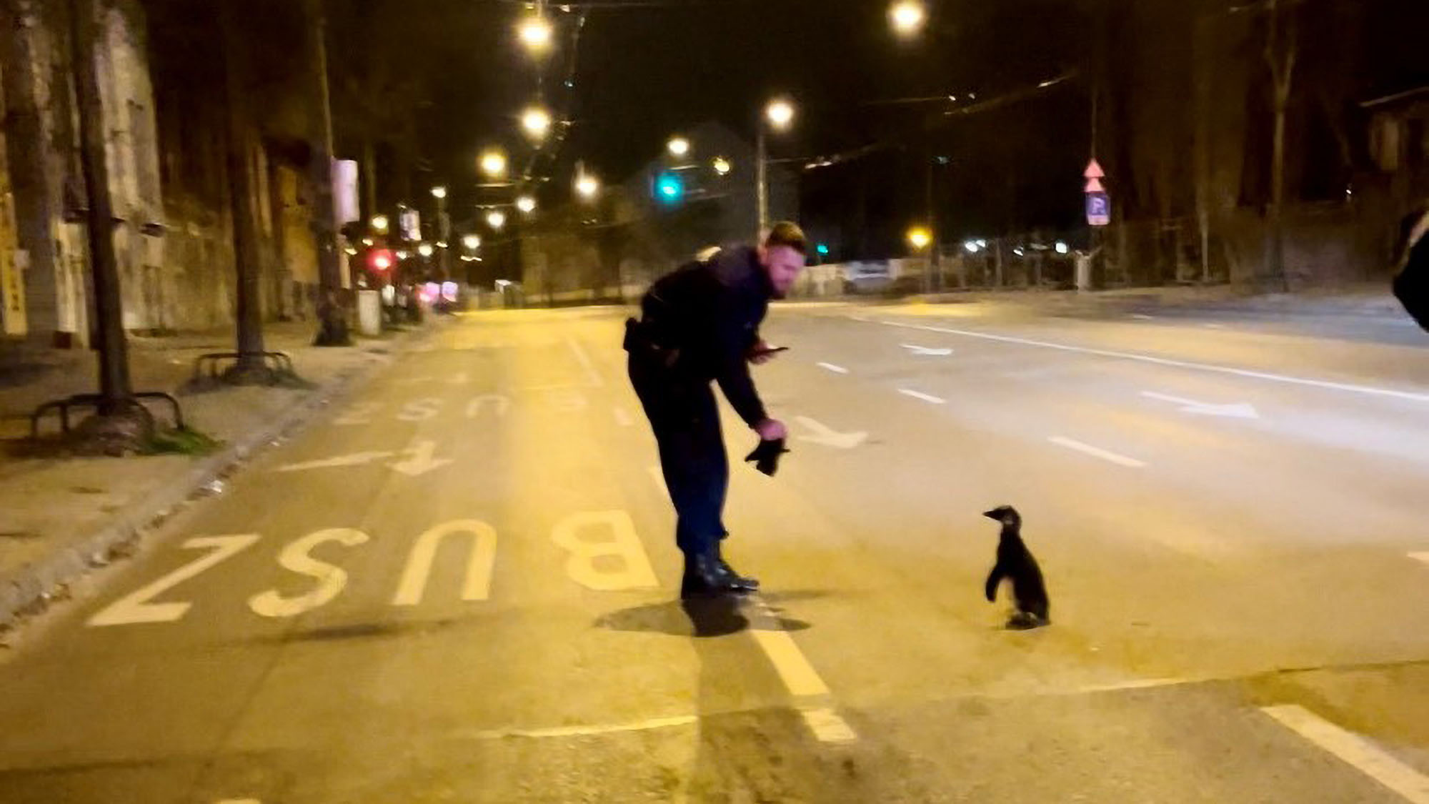 Read more about the article Cops Take Selfie With Cute Escaped Zoo Penguin Arrested For Jumping Out In Front Of Police Car