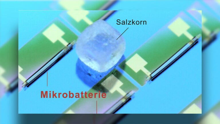 Read more about the article Researchers Develop Worlds Smallest Battery Which Is Tinier Than A Grain Of Salt