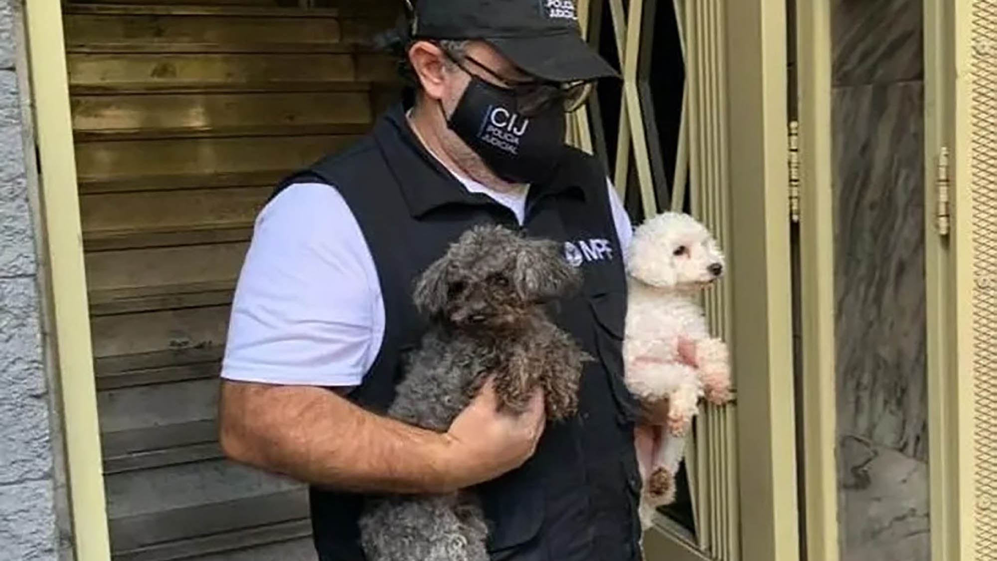 Read more about the article Cops Rescue 24 Dogs From Illegal Apartment Puppy Farm