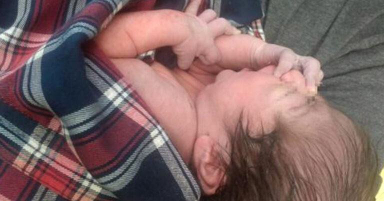 Read more about the article Newborn Abandoned In Trash Mistaken For Kitten
