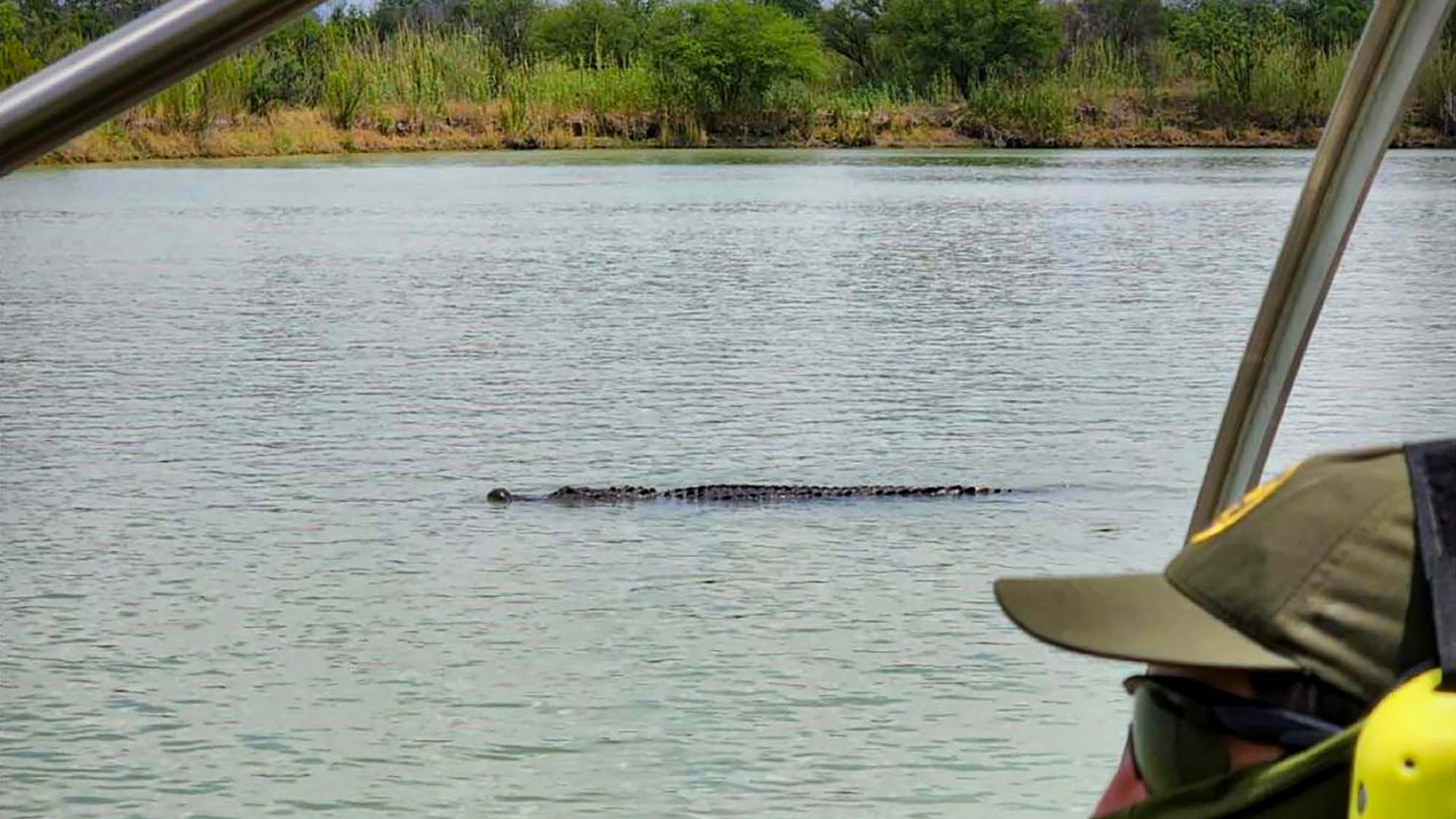 Read more about the article Are Giant Crocs Being Used To Police Mexican Border