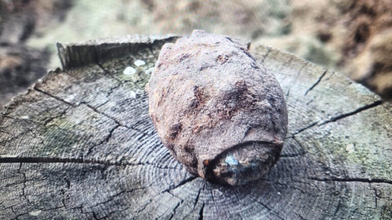 Read more about the article Terrified Farmer Finds British World-War-Era Grenade In Field