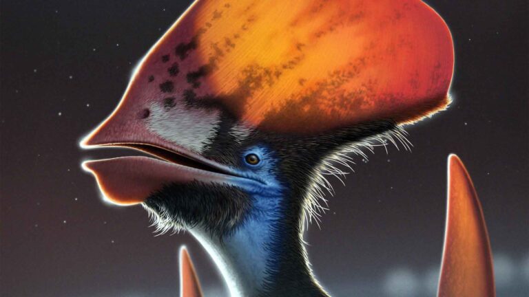 Read more about the article Incredible Pterosaur Fossil Proves Once And For All That Flying Dinosaurs Had Feathers – Not Fur