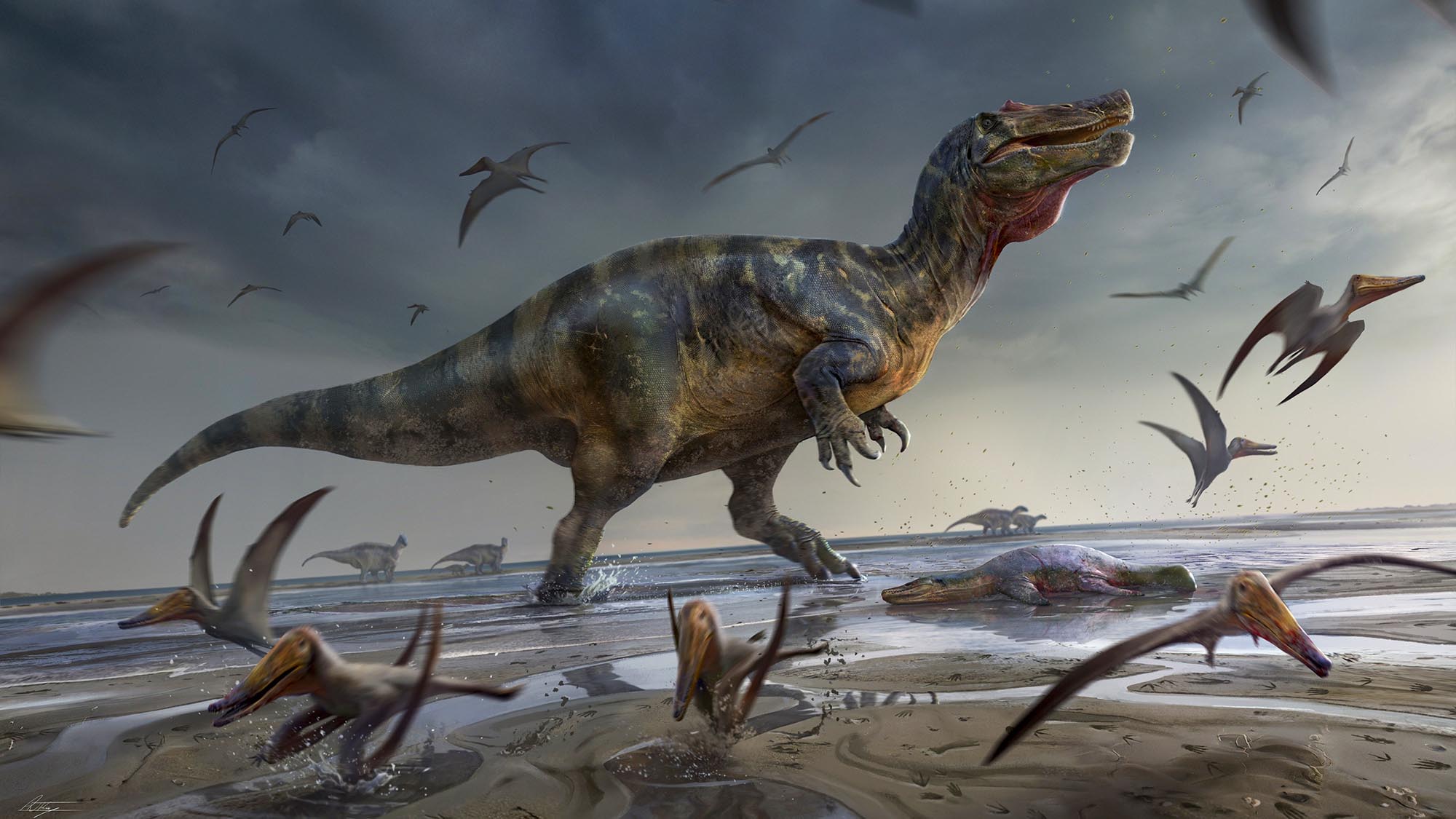 Massive Predator Dinosaur Dating Back 125 Million Years Found On Isle Of Wight