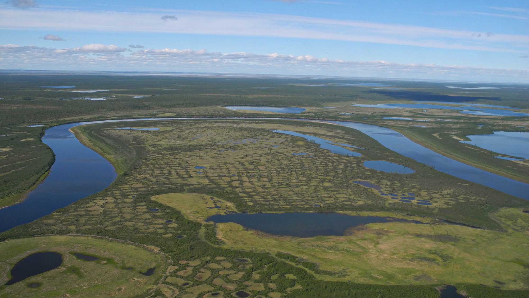 Read more about the article Scientists Say Tundra Could Be Lost In 30 Years As Trees Take Over