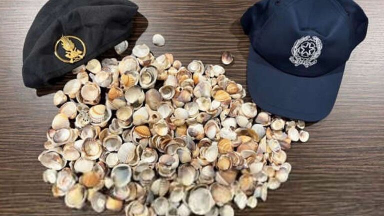 Read more about the article Tourists Caught Smuggling Hundreds Of Seashells And Tonnes Of Sand Out Of Italy