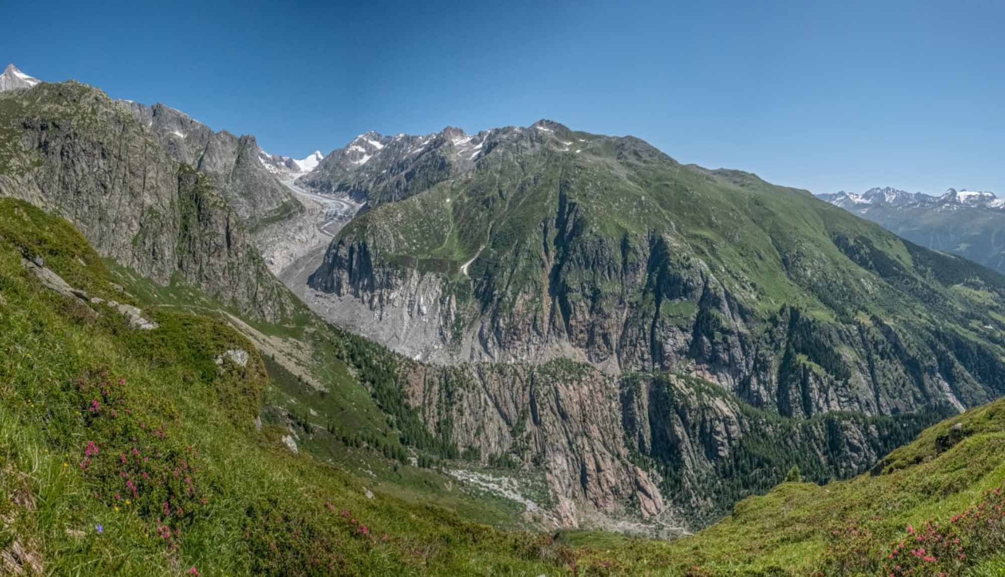 Read more about the article Swiss Glaciers Lose Half Their Volume In 85 Years, Study Shows