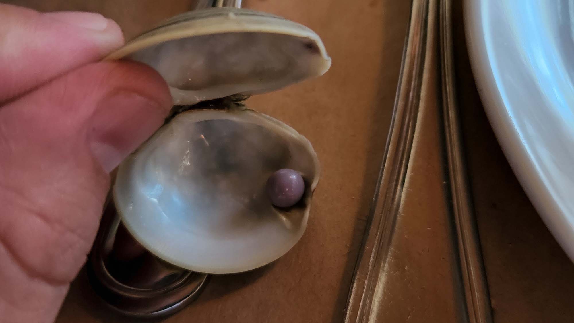 Read more about the article Man Discovers Rare Purple Pearl In Clam At Delaware Restaurant