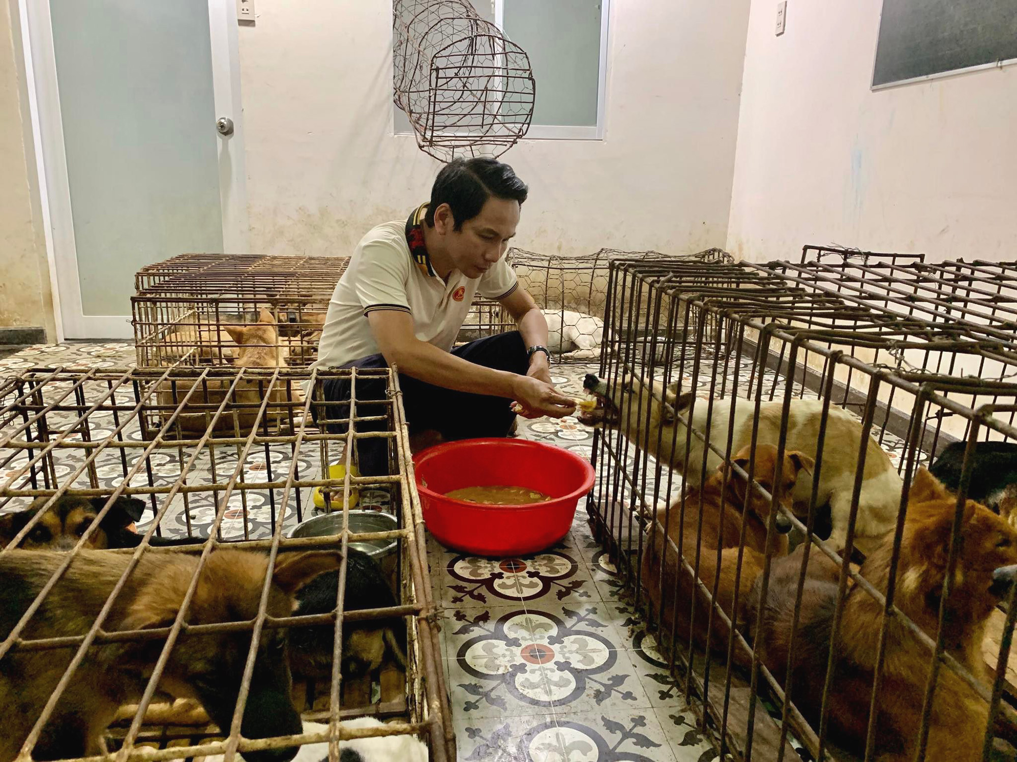 Read more about the article Animal Lover Pays USD 1,000 To Save Vietnam Dogs From Slaughter