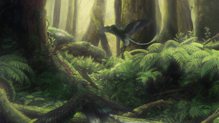 Read more about the article Bird That Lived 120 Million Years Ago Was First To Eat Fruit