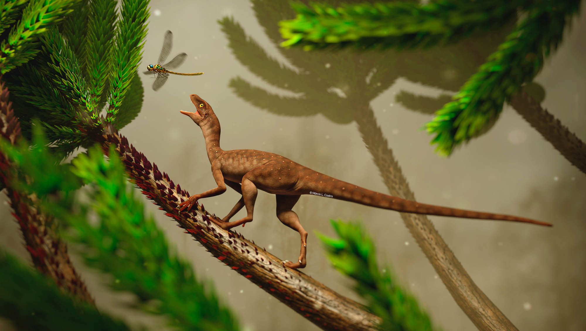 Read more about the article Small 225 Million-Year-Old Reptile Was Ancestor Of Flying Giants