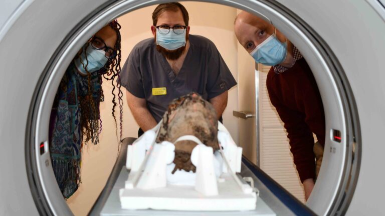 Read more about the article Egyptian Mummy’s Decapitated Head Found In An Attic Reveals Its Secrets Through CT Analysis