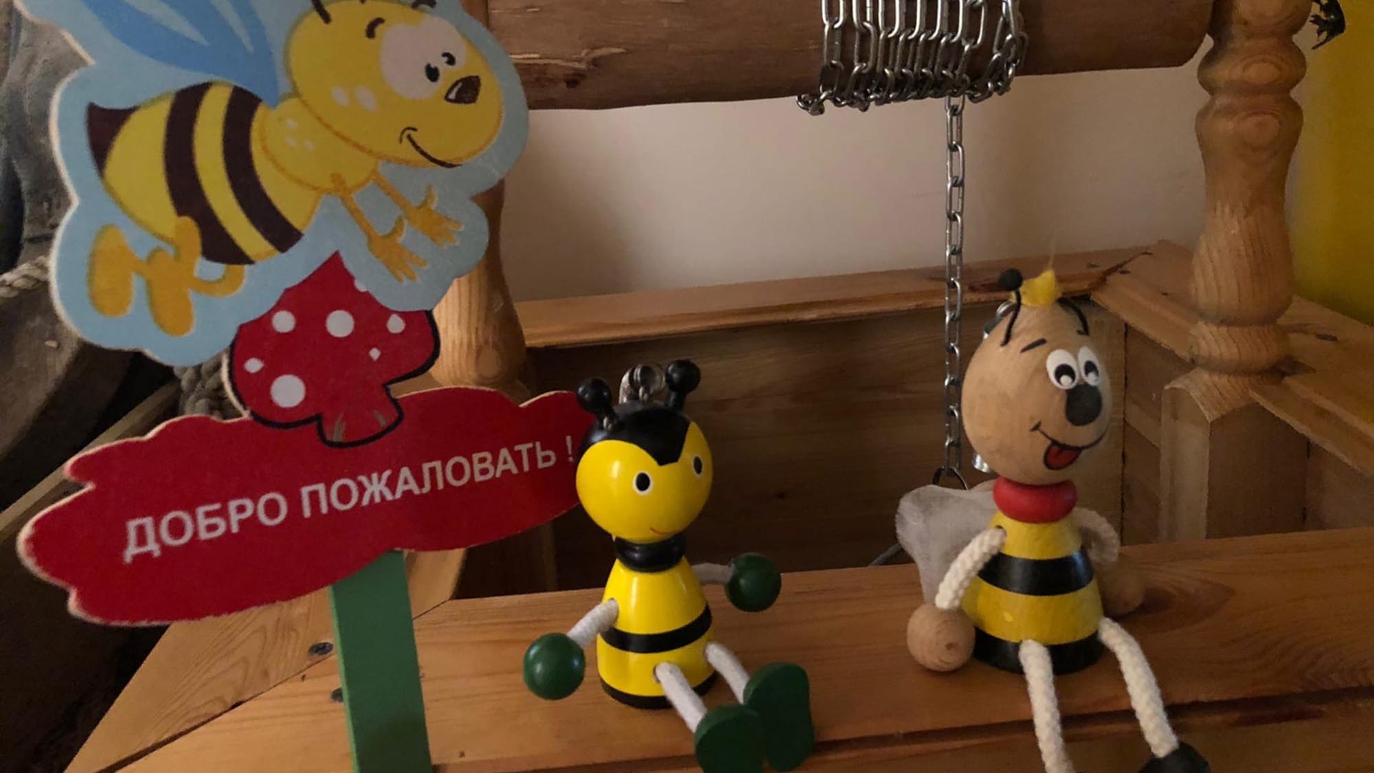 Read more about the article Russia Announces Plans To Open Bee Museum In 2023