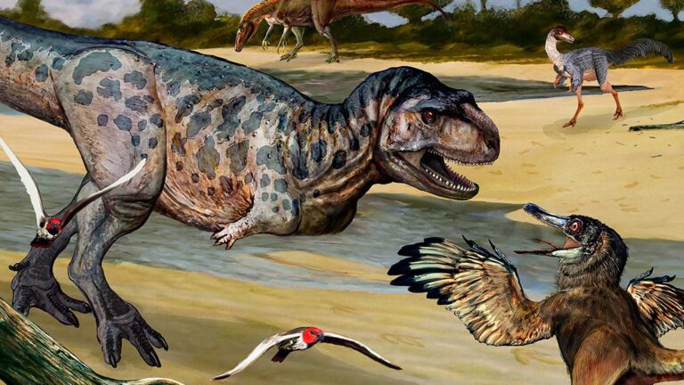 Read more about the article New Species Of Predator Dinosaur Dating Back 90 Million Years Discovered