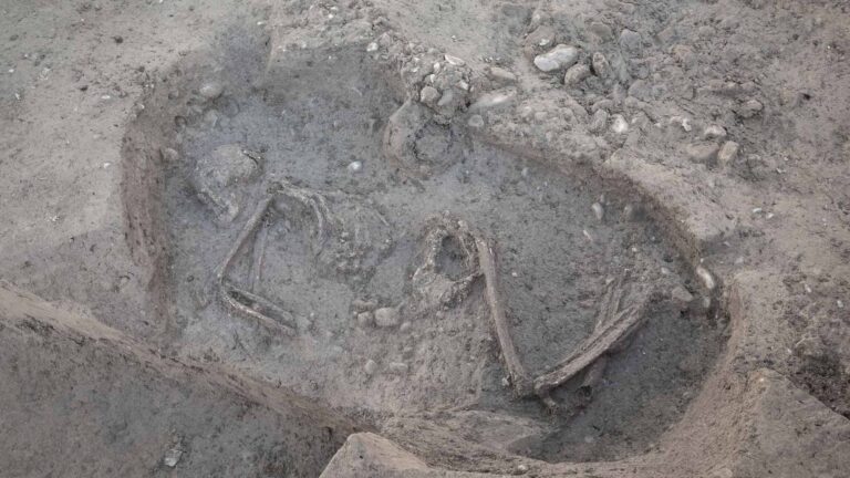 Read more about the article 4,500-Year-Old Stone Age Man Found Buried Under School