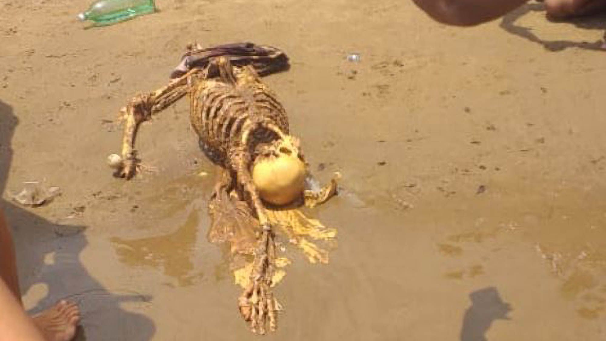 Read more about the article Boy Finds Human Skeleton In The Surf