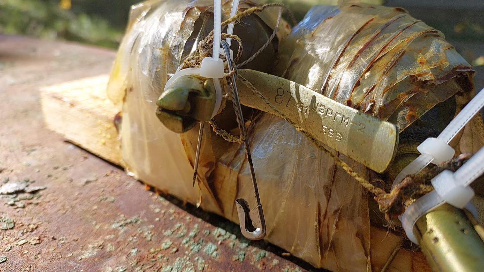 Read more about the article Russian Booby Trap Installed in Ukrainian Beehive Was Defused By Bees