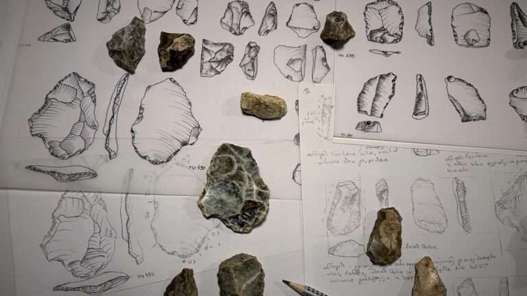 Read more about the article Tools Dating Back Half A Million Years And Used By Extinct Human Ancestors Unearthed In Polish Cave