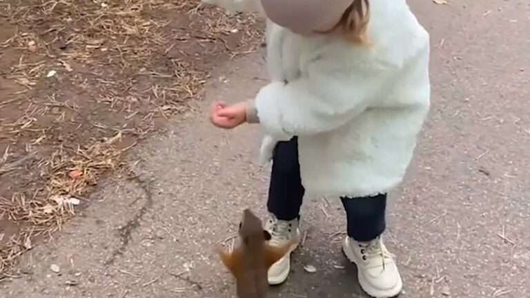Read more about the article Adorable Three-Year-Old Girl’s Bond With Squirrel