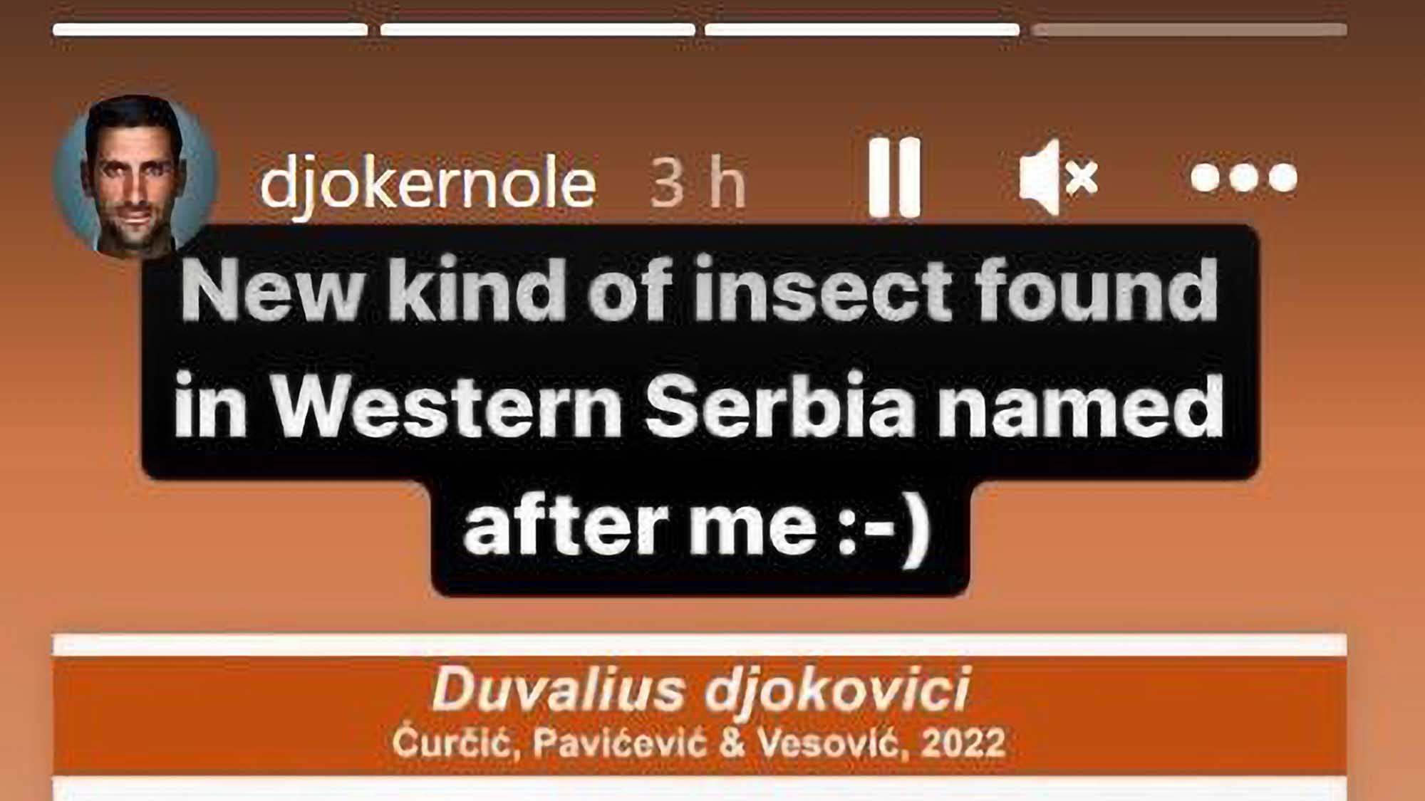Read more about the article Novak Djokovic Shows Off Insect Recently Named After Him