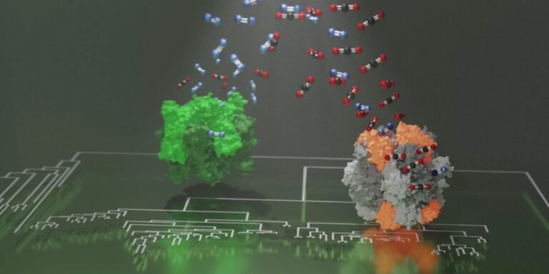 Read more about the article Resurrecting Billion-Year-Old Enzymes Reveals How Photosynthesis Adapted To Rise Of Oxygen
