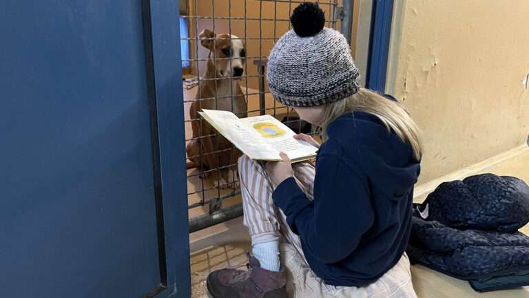 Read more about the article Children With Literacy Problems Read To Abandoned Dogs