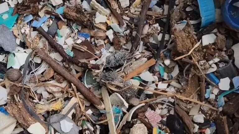 Read more about the article Breakthrough In Scrubbing Microplastics From The World’s Oceans
