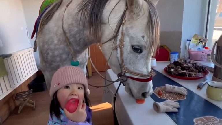 Read more about the article Four-Year-Old Girl Shares Snacks With Her Beloved Horse