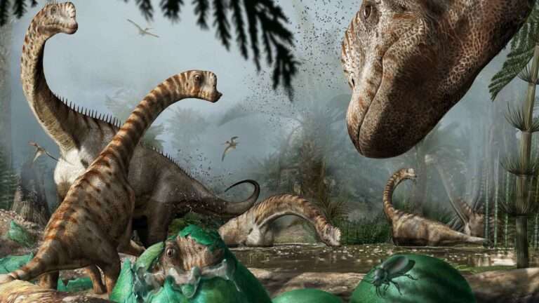 Read more about the article How Sharp Hearing Helped Stop Baby Dinos Being Crushed By Parents
