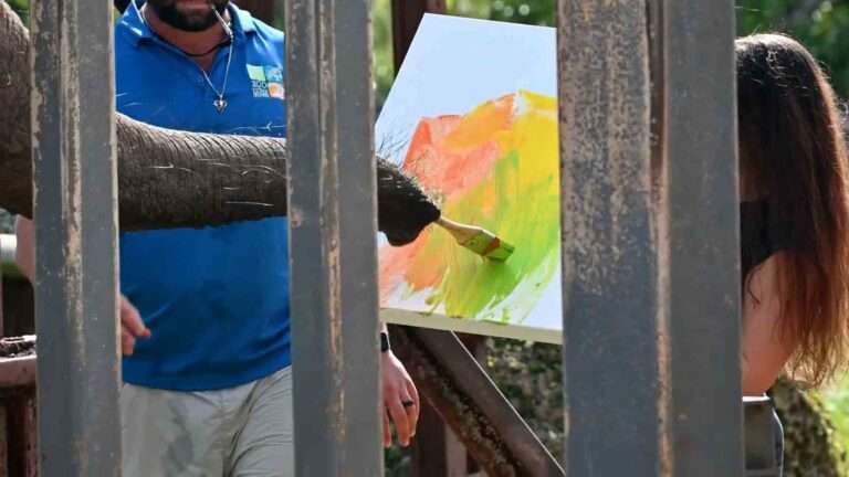 Read more about the article Elephant In Florida Zoo Creates Painting With Lessons From Local Artist