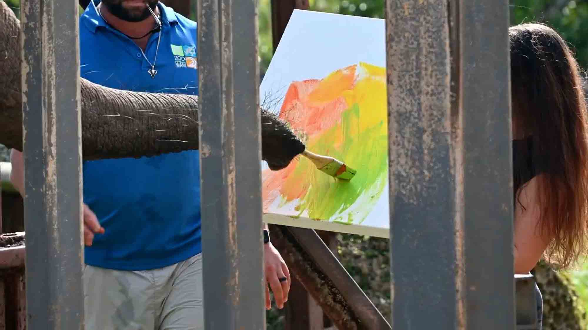Elephant In Florida Zoo Creates Painting With Lessons From Local Artist
