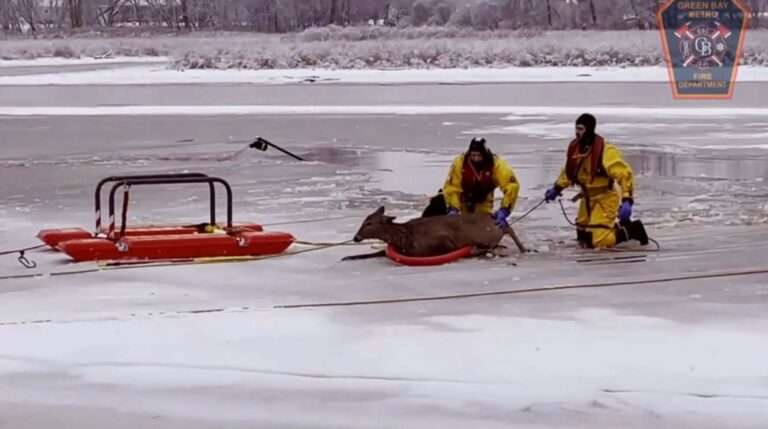 Read more about the article Firemen Pull Animal From Frozen Wisconsin River