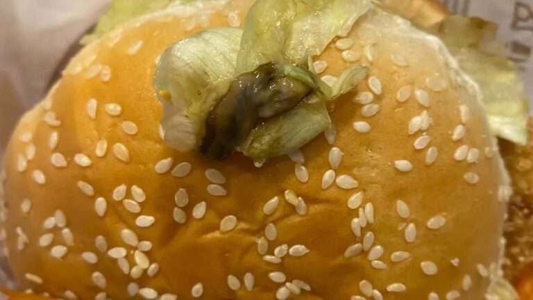 Read more about the article Horrified Diner Finds Slug In Burger King Meal
