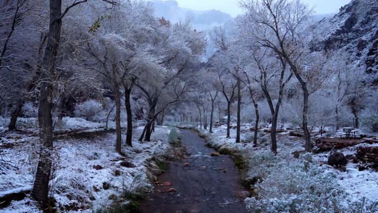 Read more about the article Rare Sight Of Grand Canyon After Snowfall