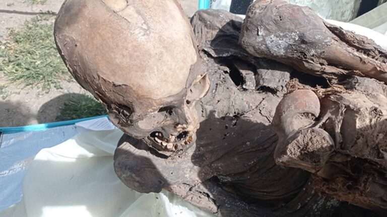 Read more about the article 800-Year-Old Mummy Found In Food Biker’s Bag